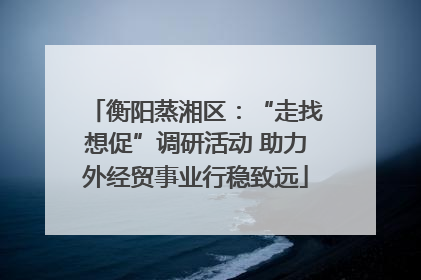 衡阳蒸湘区：“走找想促”调研活动 助力外经贸事业行稳致远